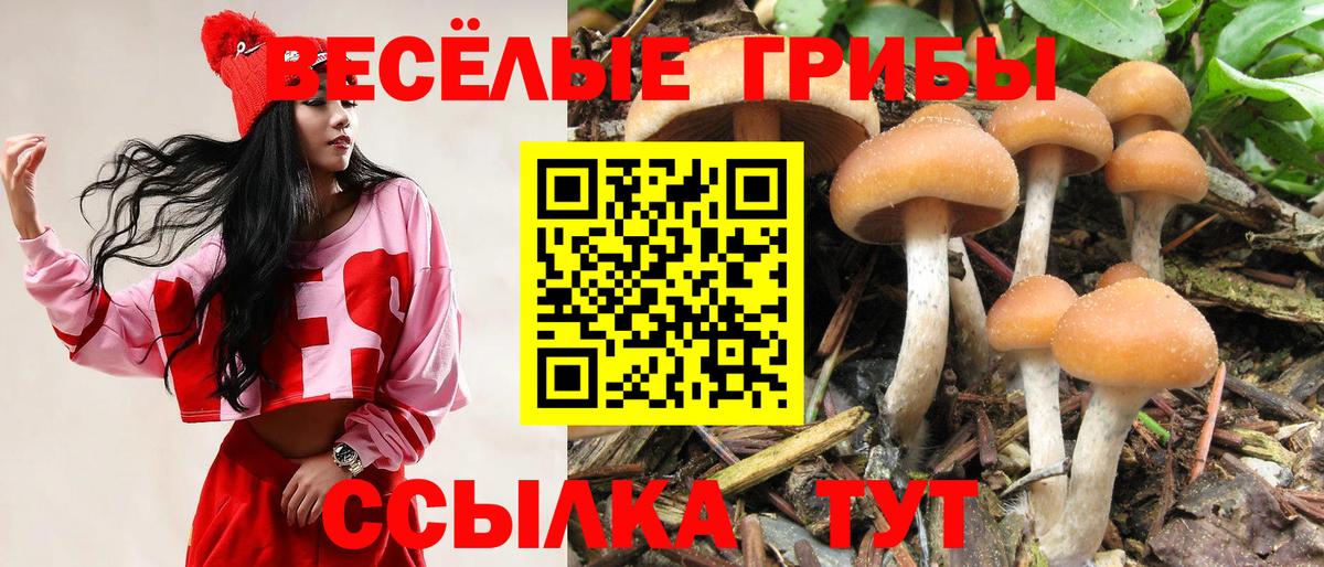  COCAIN Сальск