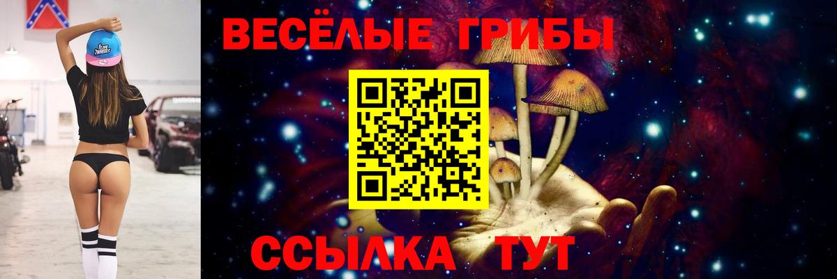 Псилоцибиновые грибы прущие грибы  Вход с VPN  Сальск 